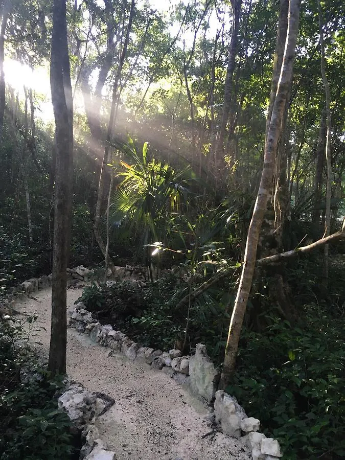 Casa Tzalam Tulum Selva Panzió