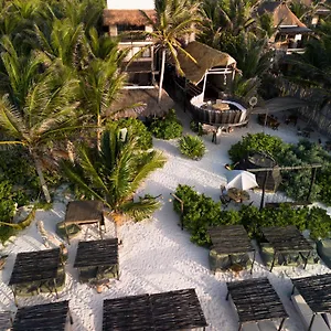 **** Hotel Orchid House (adults Only) Mexique