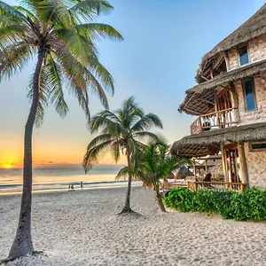 Alaya By Ahau Collection Hotel Tulum Pueblo